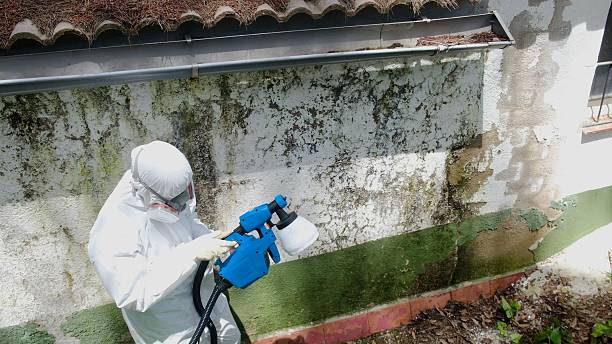Top rated local Crawl Space Mold Remediation specialists in California, PA
